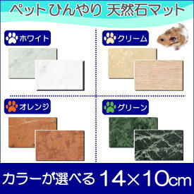 楽天市場 ハムスター クーラーの通販