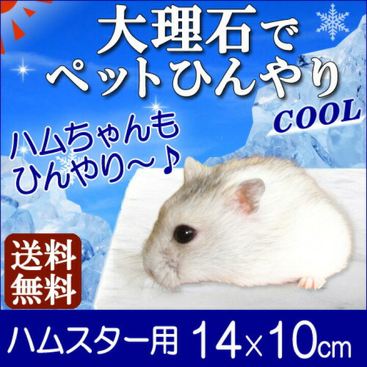 楽天市場 大理石 ペット ひんやり ハムスター 専用 デビューセット 白 大理石 レターパック発送 時間指定不可 石の種類はお任せ下さい ゴールデン ssサイズ モルモット ジャンガリアン ゲージ 夏 暑さ 冷感 節電 ペット用品 石 送料無料 石専門店 Com 楽天市場 大理石 ペット ひんやり ハムスター 専用 デビューセット 白 大理石 レターパック発送 時間指定不可 石の種類はお任せ下さい ゴールデン ssサイズ モルモット ジャンガリアン ゲージ 夏 暑さ 冷感 節電 ペット用品 石 送料無料 石専門店 Com