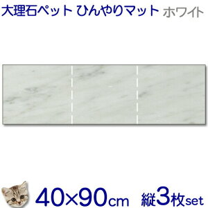 嗝΂ŃybgЂ}bgLpC^A嗝΁@rARJ[ƂĂII3Zbgyzp^C xbh ybg{[h L ^ ^xbg ߓd M΍