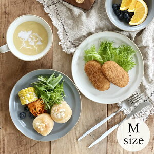 y10%OFFN[|11/16 23:59܂ŁzH  M M iMjGbWC20.2cmv[g P[LM M v[g ێM O[ AEgbg JtF dqWΉ H@Ή