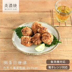 【クーポン有】食器 和食器 おしゃれ 皿 取り皿 渕茶白唐津たたら風変形皿21.7cm モダン 中皿 美濃焼 オーバル カフェ風 電子レンジ対応 食洗機対応