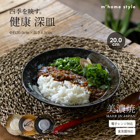 【クーポン有】健康 深皿／食器 和食器 おしゃれ 皿 中皿 カレー皿 モダン パスタ皿 おかず皿 美濃焼 プレート おかず皿 主菜皿 メイン皿 深さが嬉しいおかず皿 電子レンジ対応 食洗機対応