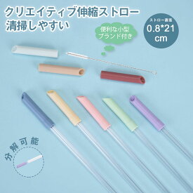 伸縮ストロー 洗浄用ブラシ付属