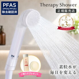 ＼楽天3位／お買い物マラソン＋期間限定ポイント10倍★【素粒水グッズ特典＋活用法資料付き】 素粒水 フリーサイエンス セラピーシャワー 浄水器｜PFAS・塩素除去｜カートリッジ付｜正規販売店 土日祝も発送 取付サポート 2年毎に本体新品交換サービス