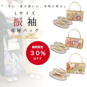 y}\Ԓ̓|Cg5{zyԌ30OFFzU  obO Zbg obOZbg obO Up U Zbg l  LTCY 24cm 24.5cm   UobN 