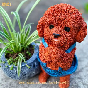 K[f G  u IuWF 킢  K[fjOG fR[V h ϋv v[g Mtg O ~͑ ~͏ CeA  Ő ֐  K[f x