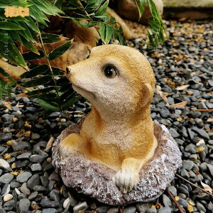 �u�� ���� �K�[�f���I�[�i�����g �}�[���b�g �� �I�u�W�F ������� �C���e���A�G�� ���킢�� �u���� �K�[�f������ �h�� �G�� �ϋv�� �����i �v���[���g �K�[�f�j���O ���|�G�� �����L�O�� ��