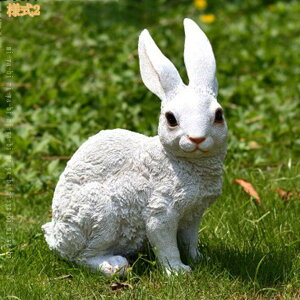 �K�[�f�j���O �u�� �G�� �� �K�[�f���I�[�i�����g ���� ������ �C���e���A �K�[�f�� �I�u�W�F ������� ���킢�� �A�j�}�� �����̒u�� �I�V�����Ȓu���� ���� �Ԓd �G�ݏ��� ������ ���O�p��