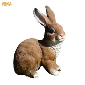 K[fjO u G  K[fI[ig   CeA K[f IuWF  킢 Aj} ̒u IVȒu  Ԓd Gݏ  Op