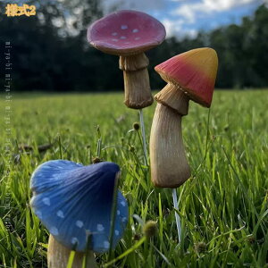 LmR IuWF K[fjO u K[fI[ig  ̂  CeA H|i LmR̒u }CNi ObY AEghA  O  o Ki v[g 