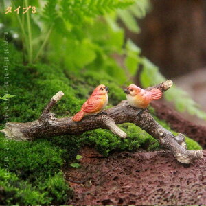 300~OFFN[| JG u  X G Jg[  A CeA u  ^ Aj} uK[fIuWF  ̒u AEghA  K[fG