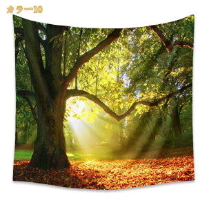 ^yXg[ [ [Ă J[e Ri Ǌ| z Ǐ CeA EH[A[g @\ ^yXg[ X Cxg z|X^[ Ԏd؂ J[e ʐ^Be