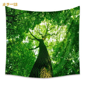 ^yXg[ [ [Ă J[e Ri Ǌ| z Ǐ CeA EH[A[g @\ ^yXg[ X Cxg z|X^[ Ԏd؂ J[e ʐ^Be