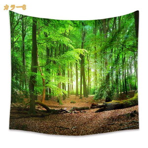 ^yXg[ [ [Ă J[e Ri Ǌ| z Ǐ CeA EH[A[g @\ ^yXg[ X Cxg z|X^[ Ԏd؂ J[e ʐ^Be