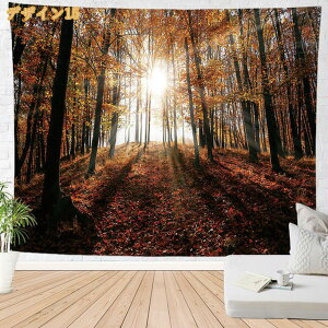 300�~OFF�N�[�|�� �^�y�X�g���[ �C���e���A �Ǐ��� �Ǌ|�� ���R�i�F �H�̐X �ؘR��� �� �� ���q�̖� �I�V���� �z�|�X�^�[ ���͋C�]�� �w�i ���@�\ �ډB�� �̂�� �J�o�[ �r�[�`�^�I�� �͗l