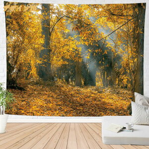 500�~OFF�N�[�|�� �^�y�X�g���[ �C���e���A �Ǐ��� �Ǌ|�� ���R�i�F �H�̐X �ؘR��� �� �� ���q�̖� �I�V���� �z�|�X�^�[ ���͋C�]�� �w�i ���@�\ �ډB�� �̂�� �J�o�[ �r�[�`�^�I�� �͗l