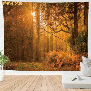 500�~OFF�N�[�|�� �^�y�X�g���[ �C���e���A �Ǐ��� �Ǌ|�� ���R�i�F �H�̐X �ؘR��� �� �� ���q�̖� �I�V���� �z�|�X�^�[ ���͋C�]�� �w�i ���@�\ �ډB�� �̂�� �J�o�[ �r�[�`�^�I�� �͗l