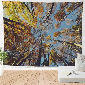 ^yXg[ CeA Ǐ Ǌ| RiF H̐X ؘR   q̖ IV z|X^[ ͋C] wi @\ ډB ̂ Jo[ r[`^I ͗lւ _ EH