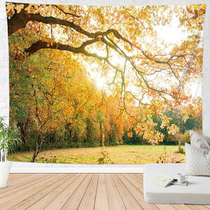 500�~OFF�N�[�|�� �^�y�X�g���[ �C���e���A �Ǐ��� �Ǌ|�� ���R�i�F �H�̐X �ؘR��� �� �� ���q�̖� �I�V���� �z�|�X�^�[ ���͋C�]�� �w�i ���@�\ �ډB�� �̂�� �J�o�[ �r�[�`�^�I�� �͗l