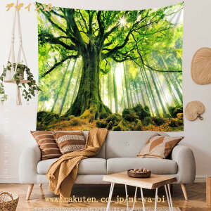 300�~OFF�N�[�|�� ���R���i�̃^�y�X�g���[ �X �k���� �����X�g���[�� �� �C���e���A ���� ��i ������� �傫�� �z �ډB�� �e�����[�N �w�i �����[�g���[�N �w�i�z �Q�� �J�[�e�� �V�z�j�� 