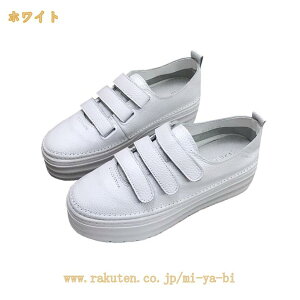 Xj[J[ }WbNe[v Xb| fB[X ₷ Xj[J[ ؂ [Jbg  ʋC Vv ₷ JWA t@bV ʋ ʊw X|[c jO 