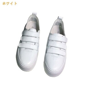 }WbNe[v  t  H xNXj[J[ fB[X  JWA tbgV[Y [Jbg ؂ ʋC ~ Ȃ ʊw  X|[c JWA tbgV