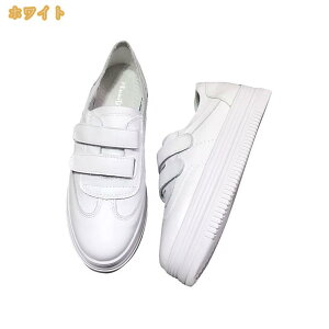 }WbNe[v  t  H xNXj[J[ fB[X  JWA tbgV[Y [Jbg ؂ ʋC ~ Ȃ ʊw  X|[c JWA tbgV