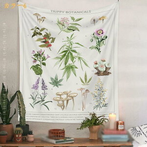 500~OFFN[|  ^yXg[ CeA @\Ǌ| t@ubNpi  _ȃA[g ͗lւ  J[e Mtg Vj ^yXg[ Ǌ| i k mi