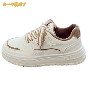 Xj[J[ fB[X ~p JWA [XAbv gbLO nCJbg AEghA EH[LOV[Y hC h ȌC N {A g hu[c  ̓ v[