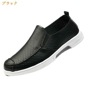 �����Y �h���C�r���O�V���[�Y ���U�[ ���[�t�@�[ ������� �X���b�|�� �v�C ���J�V�� �a�m�C �r�W�l�X �J�W���A�� �h�� �y�� �^�] ���]�� �傫���T�C�Y �_�炩�� �t���b�g �t�ďH�~ �����₷