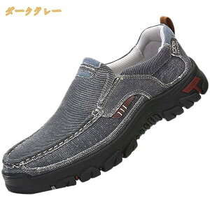 �傫���T�C�Y ���J�V���V���[�Y �L�����o�X �����Y �J�W���A�� �L�����o�X�V���[�Y �z�C �t���b�g �X�j�[�J�[ �g���b�L���O�V���[�Y ���L �ʊw �ʋ� ���풅�p �E�H�[�L���O�V���[�Y ������