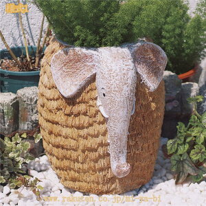  u IuWF Aؔ K[f ̒ fR[V O  Jg[G K[fjO I[ig 蕨  Aj}G K[fI[ig  NX}X