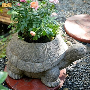 �u�� ���� �K�[�f�� �I�[�i�����g �K�[�f�j���O�G�� �A�j�}�� �a�����v���[���g �M�t�g ������� ���킢�� �C���e���A�G�� �� ���� �I�u�W�F ���O �A�ؔ��̒��� �f�R���[�V���� ���| �K�[�f