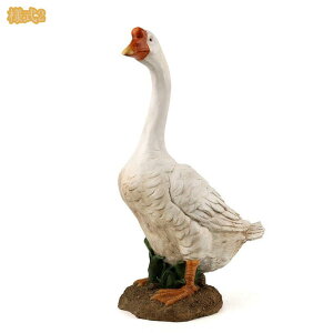  u IuWF Aq K[f ̒ fR[V O  Jg[G K[fjO I[ig 蕨  Aj}G K[fI[ig  NX}X