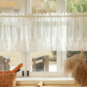 JtFJ[e R̕ʂ ϋv Pn ͗lւ V vCoV[ی I B[ n[tJ[e rO[  i {I I[V[Yho  Ԏd؂ C