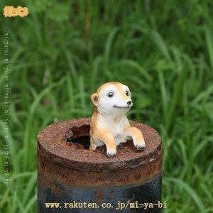 K[fjO 蕨  K[f  IuWF I[ig Jg[G O CeA  Ԓd̒u ~[ALbg̒ LOi  o Ki K[fI[ig A