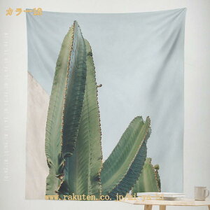 ^yXg[ ssi k x_ 3D ^ iF A IV z|X^[ CeA |X^[ Ẵr[` V̖ wi C CeA Ǌ| Ǐ g zf[p[eB[