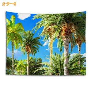 k ^yXg[ CeA r[`i iF C  Cl ][g ze A Ri z|X^[ ͋C]  唻^yXg[ Ǌ| Ǐ a 傫TCY 