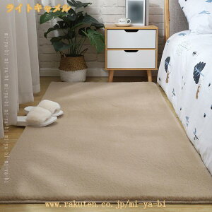 OJ[ybg 100x200cm ӂӂ VM[ O~ n lGʗp [ g[Ή  |GXe ` J[ybg ʋC NK 킹₷fUC CeA Vv