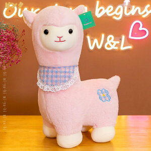  ʂ ApJ { ܂  r 킢  ӂӂ G Qp̖ CSn _炩 傫 TCY  l a v[g  qr