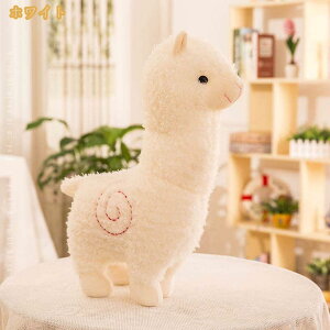 D r ܂ n qr YQ܂ 킢 蕨 Gǂ NbV w  ʂ Q܂   v[g  ybg ֎q ItB