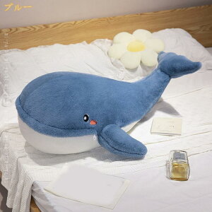 ʂ  NW ~ Aj} NX}X 傫 Cm  ʂ  LN^[ INS av[g CeA ~D u X GSnǂ 炩