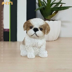 u ̒  u 킢  tBMA JtF p G K[f 킢 rO fXN  Q ̎Ő̉ v[g Mtg ̒u 