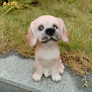 AȌ̒u     W CeA  ԓANZT[ Mtg œKȃv[gCeA{  J[fR[V tBMAu z[C