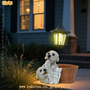 K[fjO I[ig  u \[[Cg K[fCg   LEDCg_ h ϋv   Aj}IuWF O   Ő x_ CeA