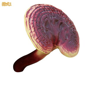 u IuWF LmR I[ig 킢 ̂ K[f G  ~͏ CeA O  K[fjOG |pi AEghA fR[V K[fI[i