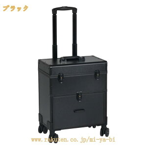 ���C�N�L�����[�P�[�X ���C�N�{�b�N�X ��e�� �v���p �L�����[�o�b�O ���@�\ �d�؂� �L���X�^�[�t�� ���ϕi�� ���C�N���[ �L�����[�P�[�X ���e�t �l�C�� �w�A���C�N �L�����[�o�b�N ���C�N