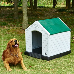 2000�~OFF�N�[�|�� ������ ���O �h�� �h�b�O�n�E�X �y�b�g�n�E�X �� �n�E�X ���^���p �y�b�g�x�b�h ���P�[�W ���� �g�ݗ��Ď� �v���X�`�b�N�� �h�� �h�J �g�ݗ��ĊȒP ����OK �e���X ���� ��