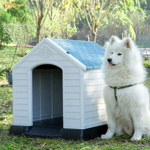 nEX  ybgpxbh  O h vX`bN IV lGʗp gȒP ybgnEX ^ L nEX hbOnEX ǌ g ybgP[W h nEX 