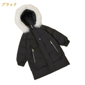 _ER[g LbY q AE^[EFA _EWPbg q AE^[ ̎q j̎q ~p ȃWPbg j  LbY ʉ ʊw \ 蕨 t[ht  t@[ Lb